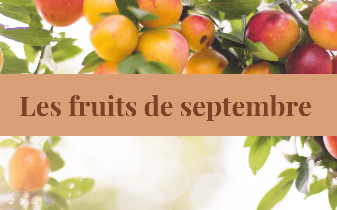 Fruits de saison de septembre